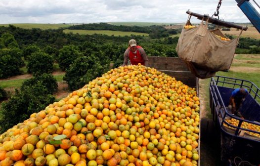 Citrus BR prevê impacto de R$ 400 milhões com mudança em PIS/Cofins