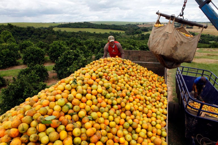 Citrus BR prevê impacto de R$ 400 milhões com mudança em PIS/Cofins