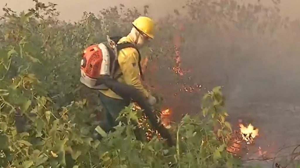 Queimada no Pantanal persiste mesmo após proibição de manejo do fogo