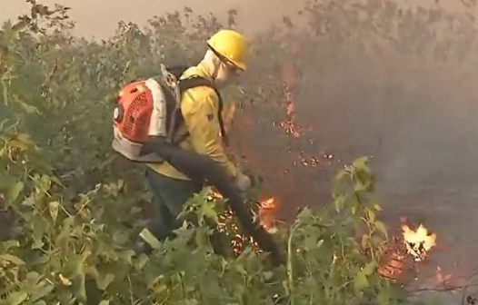 Queimada no Pantanal persiste mesmo após proibição de manejo do fogo