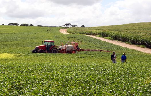 Plano Safra deve superar R$ 500 bilhões para agricultura familiar e empresarial