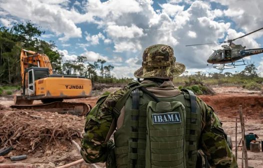 Servidores federais ambientais iniciam greve