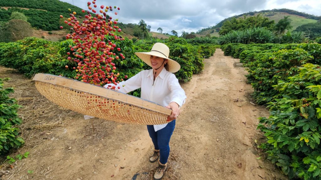 Cafeicultores incluídos no Certifica Minas terão redução de juros