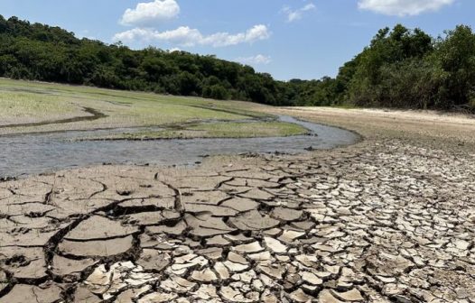 Centro gestor alerta para seca severa este ano na Amazônia