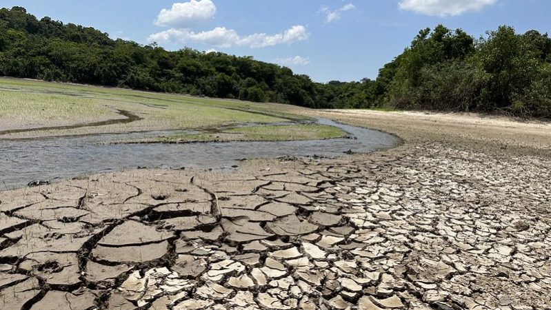 Centro gestor alerta para seca severa este ano na Amazônia