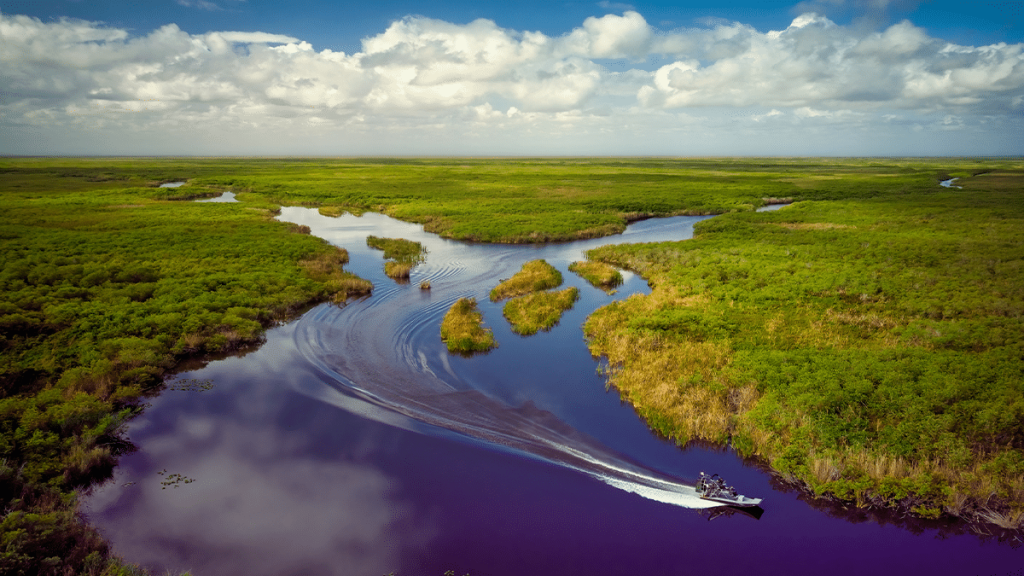 Aberto edital para apoiar negócios inovadores no Pantanal e no Cerrado