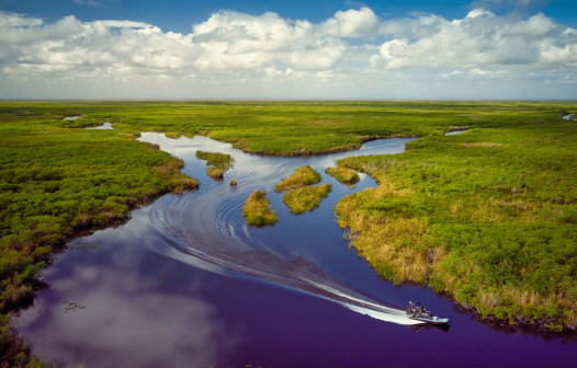 Aberto edital para apoiar negócios inovadores no Pantanal e no Cerrado