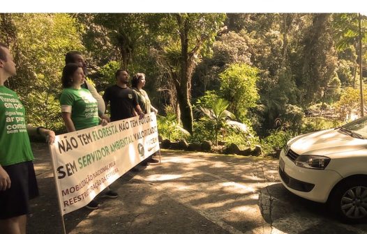 STJ suspende 100% da greve de servidores federais do meio ambiente