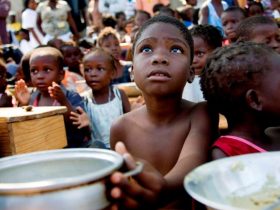 Fome não retrocedeu e afetou 733 milhões de pessoas em 2023