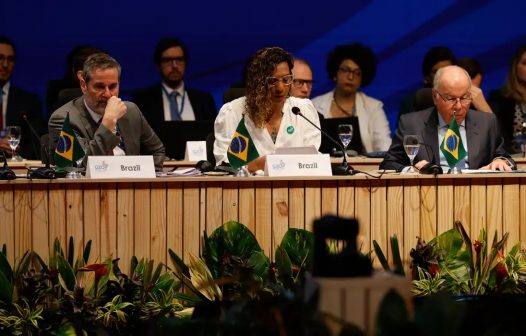 No G20, Brasil reafirma compromisso de combate ao racismo