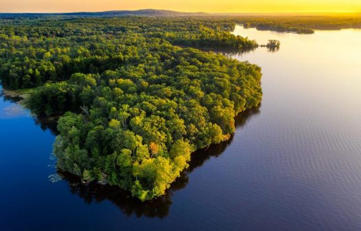 Amazônia deve receber R$ 500 milhões para desenvolvimento científico