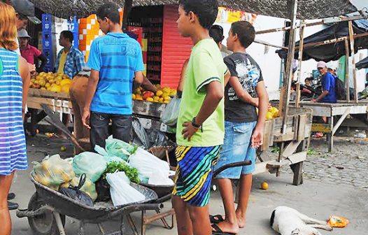 Auditores identificam 301 menores realizando trabalho infantil ilegal