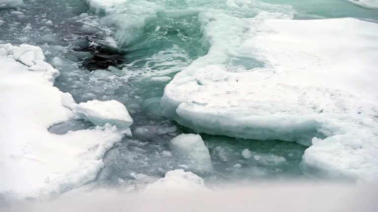 Observatório do Clima propõe redução de 92% nas emissões até 2035