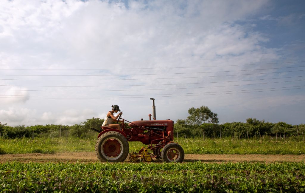 Lucro da Corteva aumenta 47,5% no 2º trimestre