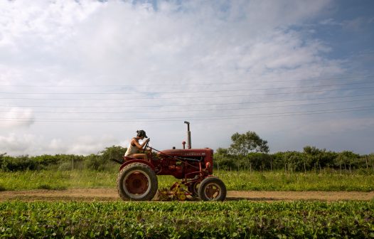 Lucro da Corteva aumenta 47,5% no 2º trimestre