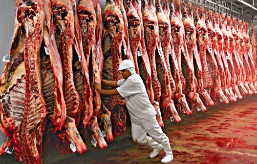 Exportação brasileira de carne bovina cresce 21,6%