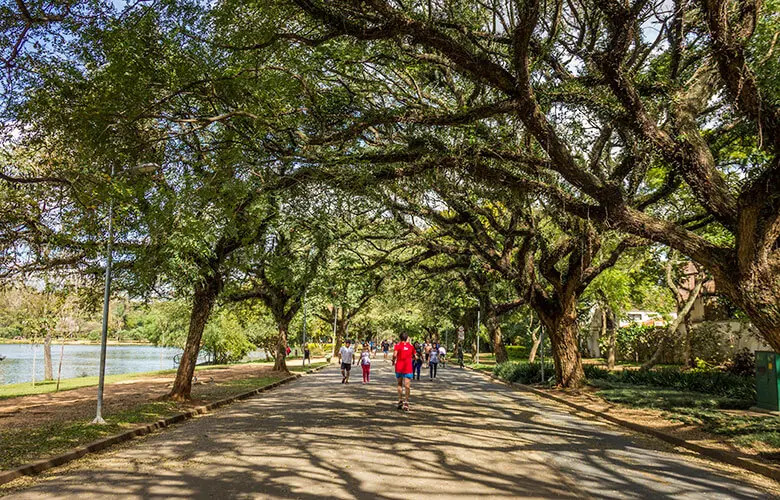 Parque Ibirapuera, referência cultural em SP, faz 70 anos