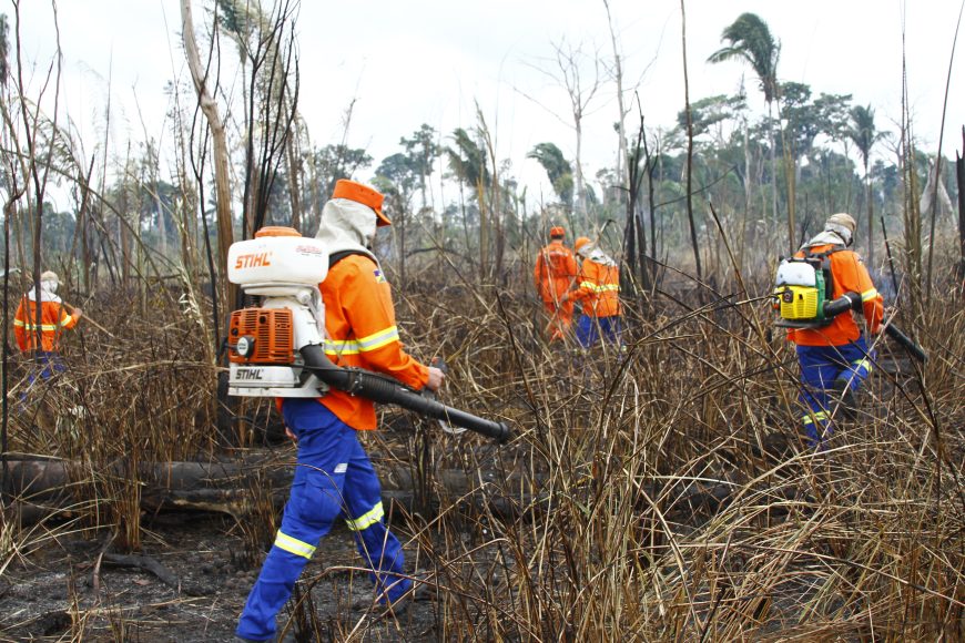 Rondônia declara situação de emergência por incêndios florestais