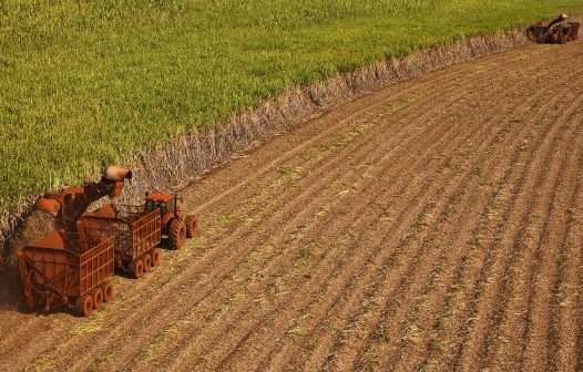 Produção de grãos deve recuar 6,6% e atingir 298,60 milhões de toneladas