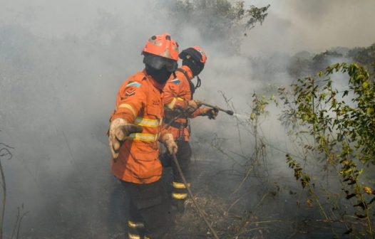 Fogo já consumiu 1,3 milhão de hectares e volta a aumentar no Pantanal