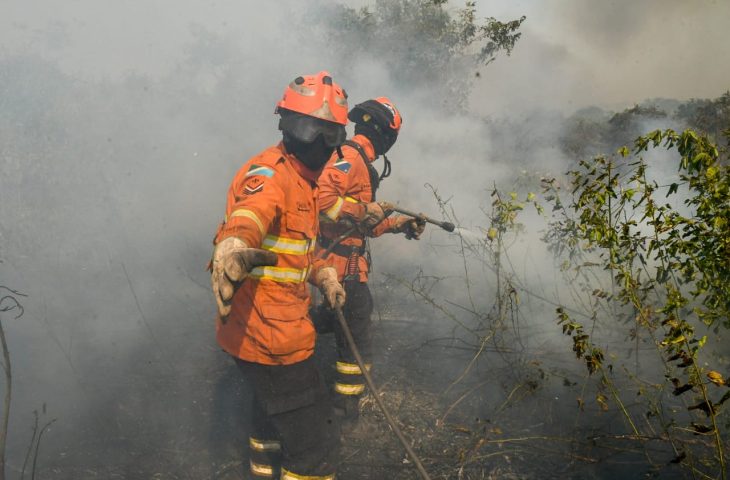 Fogo já consumiu 1,3 milhão de hectares e volta a aumentar no Pantanal