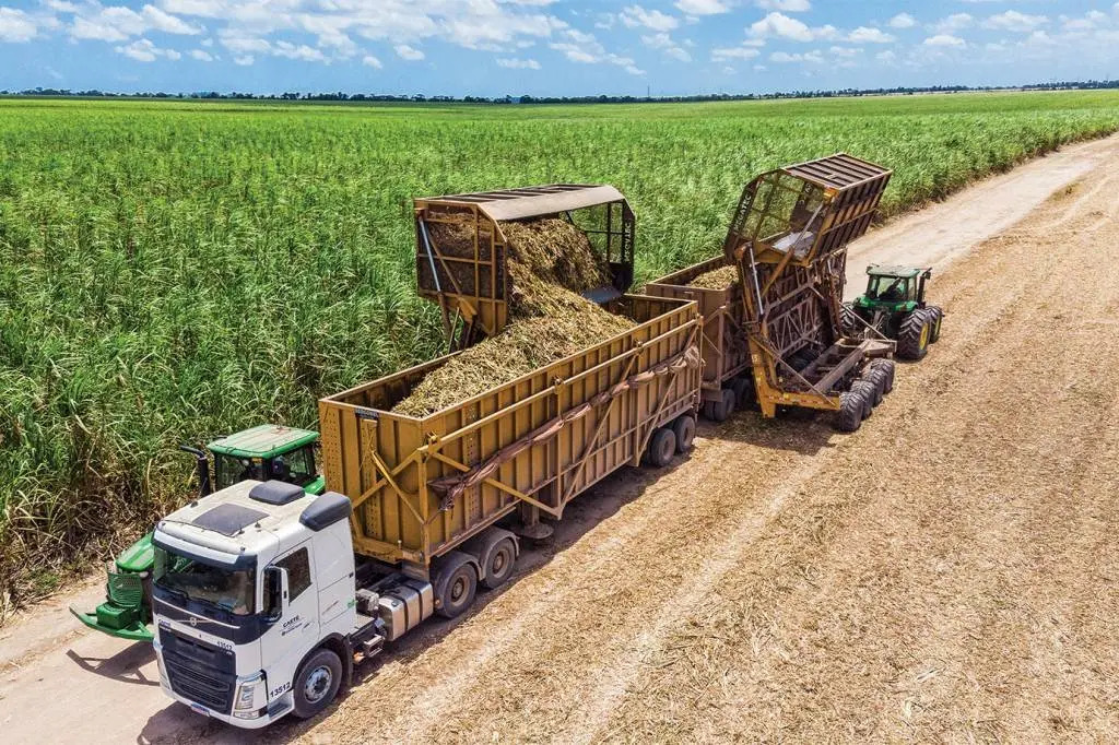 AgroGalaxy pede recuperação judicial após alta na inadimplência