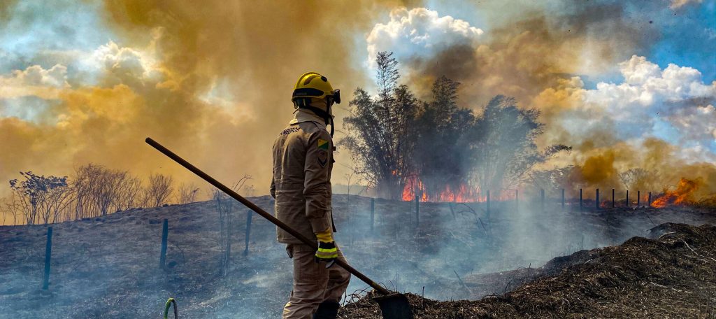 Emissão de gases do efeito estufa por queimadas na Amazônia cresce 60%