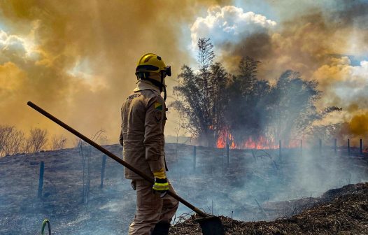 Emissão de gases do efeito estufa por queimadas na Amazônia cresce 60%