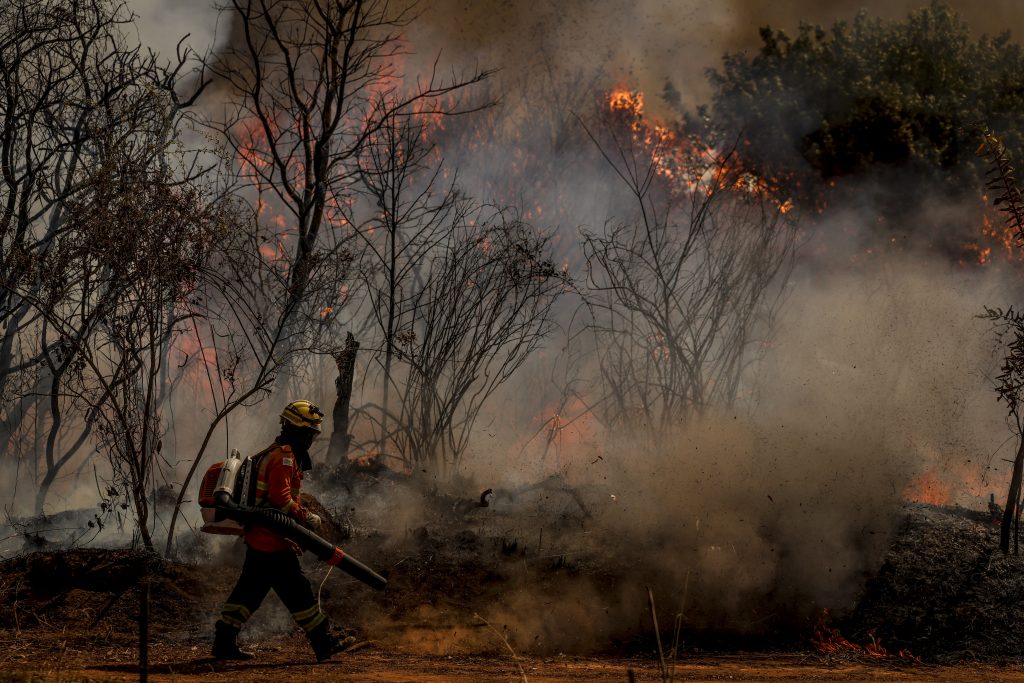 Cerrado é o segundo bioma mais ameaçado no país