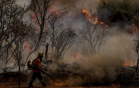 Cerrado é o segundo bioma mais ameaçado no país