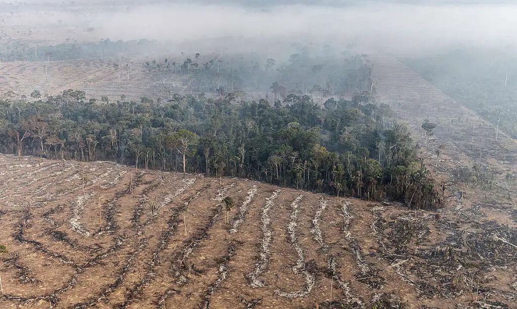 Fogo na Amazônia se concentra em locais onde agronegócio avança