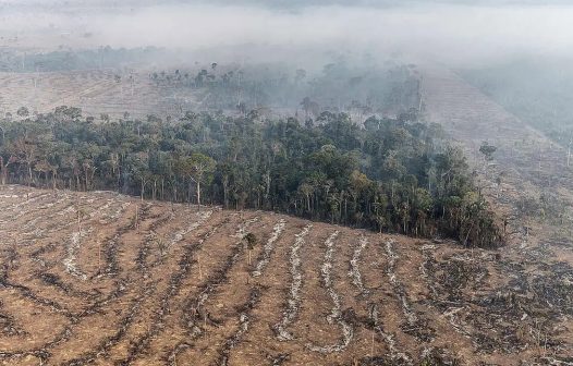 Fogo na Amazônia se concentra em locais onde agronegócio avança