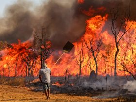 Emissão de gases por incêndios é recorde em dois estados