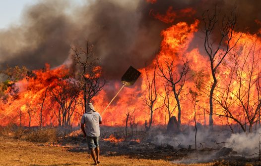 Emissão de gases por incêndios é recorde em dois estados