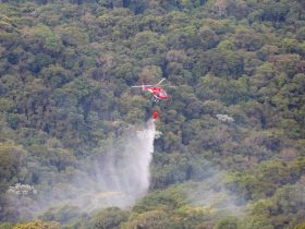 Governo de SP libera R$ 5,9 milhões para combate a incêndios