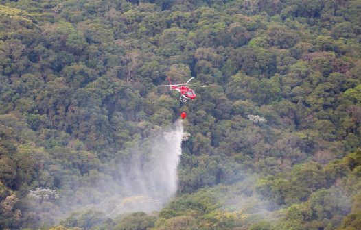 Governo de SP libera R$ 5,9 milhões para combate a incêndios