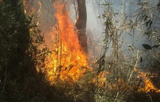 Chuva ajuda a apagar incêndio no Parque da Serra dos Órgãos, no Rio