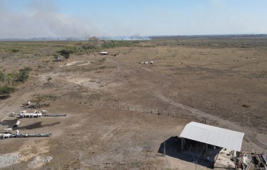 PF investiga incêndios criminosos para criação de gado