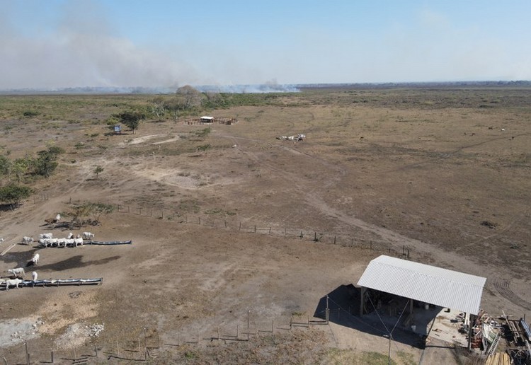 PF investiga incêndios criminosos para criação de gado