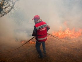 Portugal declara estado de calamidade por conta de incêndios