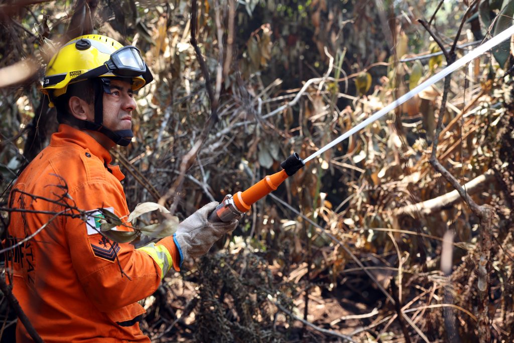 CNA estima prejuízo de R$ 14,7 bilhões à agropecuária por incêndios