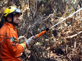 CNA estima prejuízo de R$ 14,7 bilhões à agropecuária por incêndios