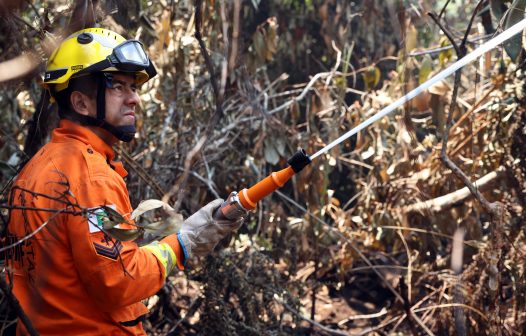 CNA estima prejuízo de R$ 14,7 bilhões à agropecuária por incêndios