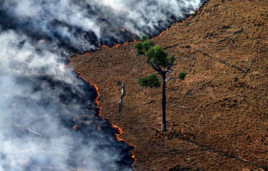 Brasil concentra 76% dos incêndios na América do Sul