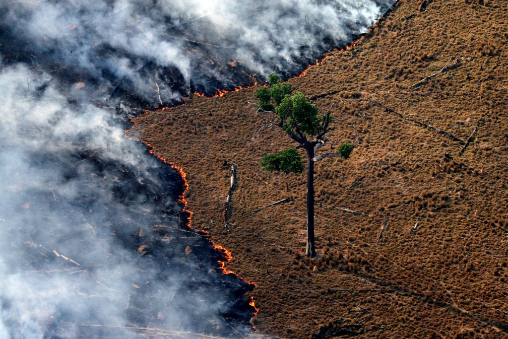 Brasil concentra 76% dos incêndios na América do Sul