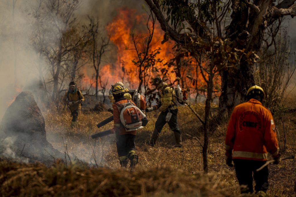 Brasil teve 11,39 milhões de hectares atingidos pelo fogo este ano