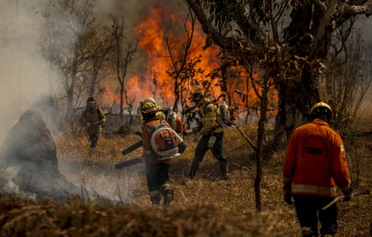 Brasil teve 11,39 milhões de hectares atingidos pelo fogo este ano