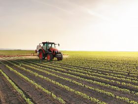 Justiça de Goiás rejeita devolução de R$ 31,9 milhões à Rainbow