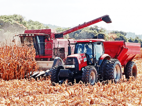 AgroGalaxy anuncia fechamento de lojas e demite centenas de funcionários