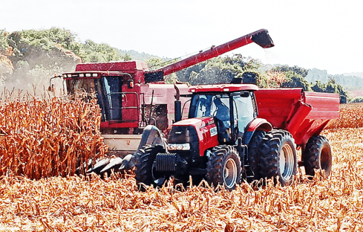 AgroGalaxy anuncia fechamento de lojas e demite centenas de funcionários